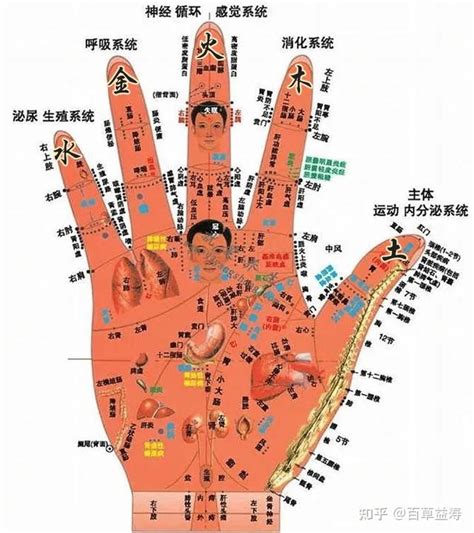 手指代表器官|看五指，知五脏，手指对应人体各个系统，赶快对照看看自己的手。